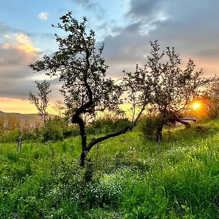 דירה Au Coeur De L'auvergne *