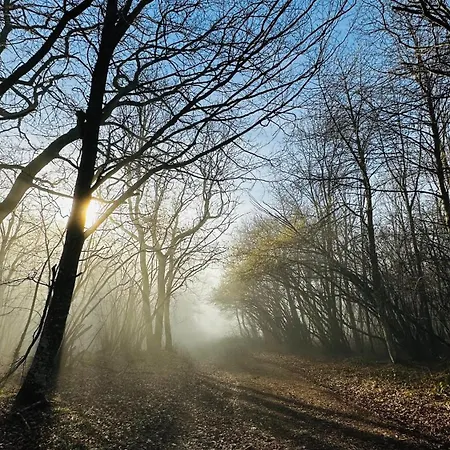 Au Coeur De L'auvergne דירה *