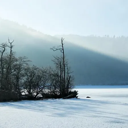 דירה Au Coeur De L'auvergne Nohanent