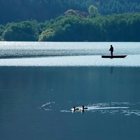 Au Coeur De L'auvergne דירה Nohanent