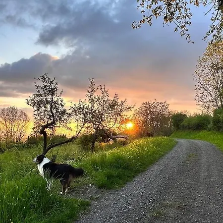 Au Coeur De L'auvergne דירה *